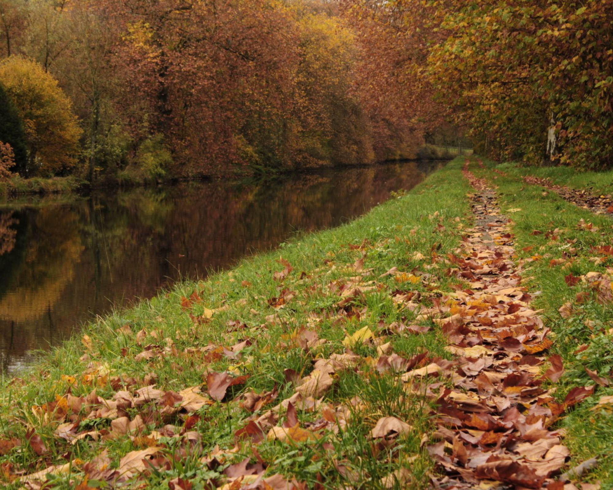 Photos Régis Bourguignon